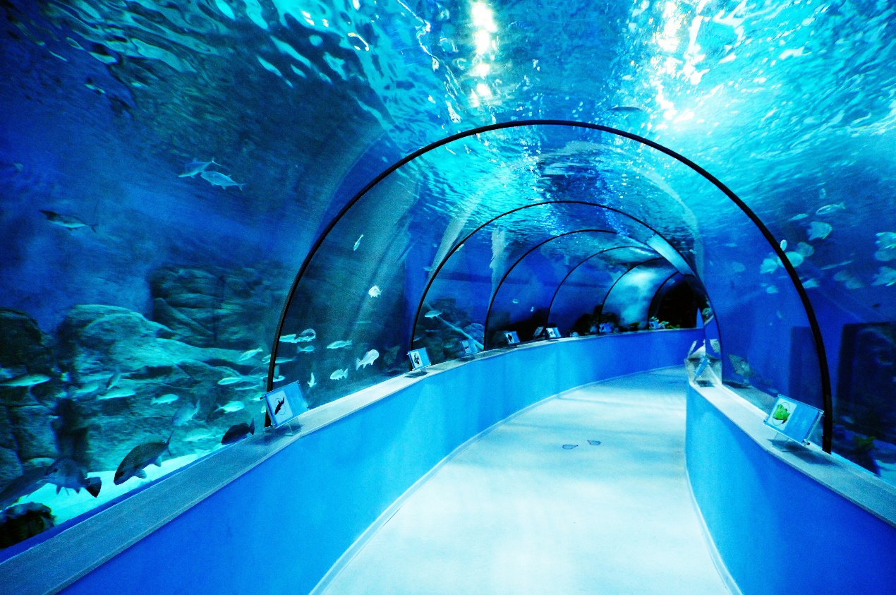 合肥市恒大中心海洋館改造加固設計